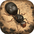 小小蚁国蚂蚁模拟器游戏官方手机版