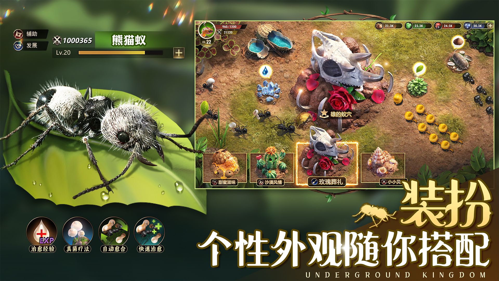小小蚁国决战丛林游戏安卓版图2: