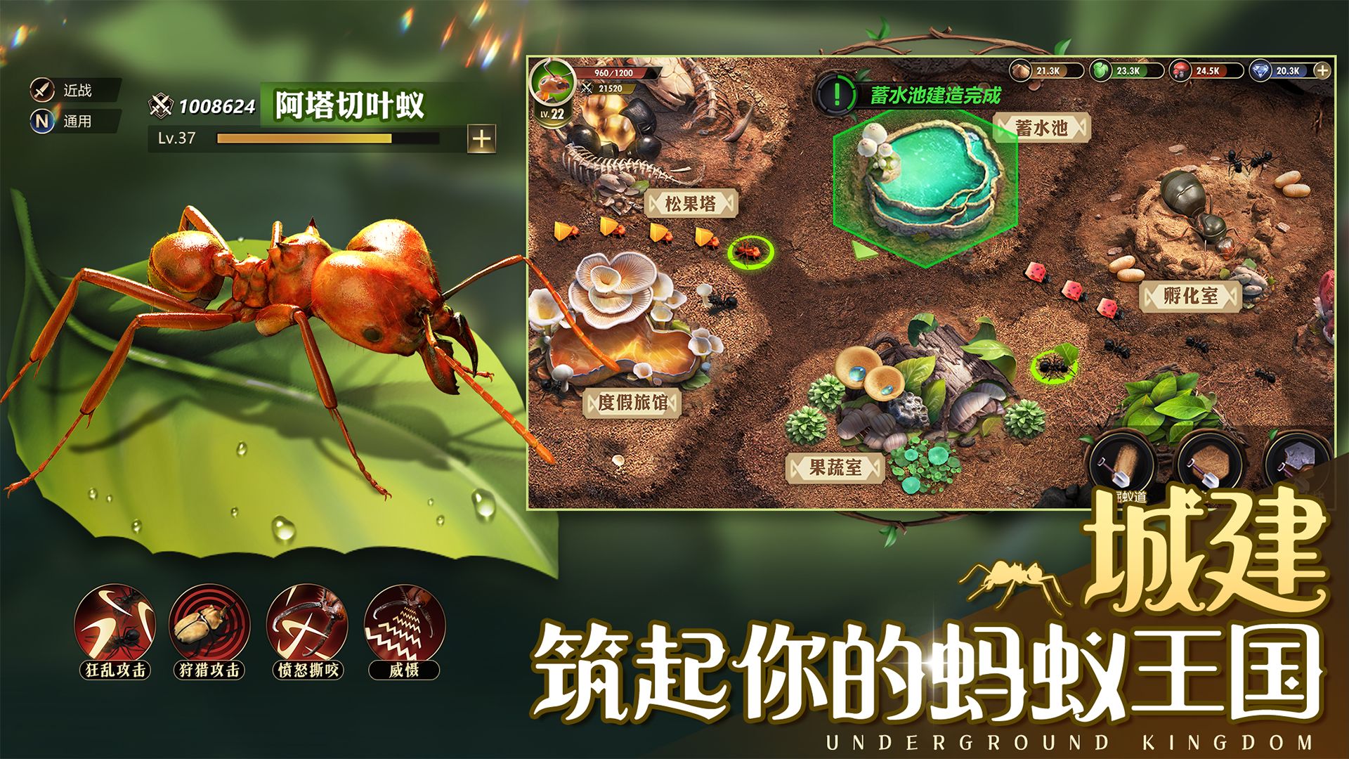 小小蚁国决战丛林游戏安卓版图1: