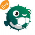 河豚直播app下载足球