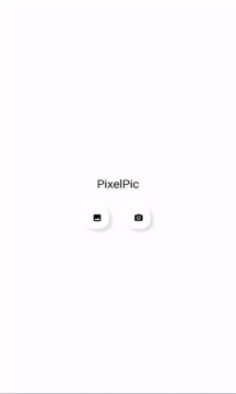 pixelpic像素图片生成软件官方版截图1: