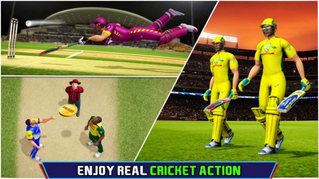 T20世界板球比赛游戏官方版截图2: