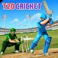 T20世界板球比赛游戏