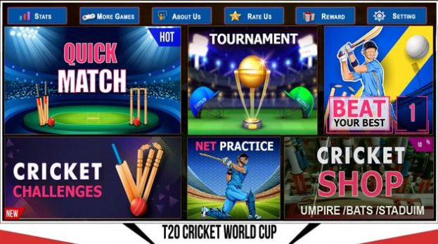 T20世界板球比赛游戏官方版截图3: