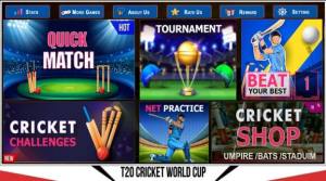 T20世界板球比赛游戏图2