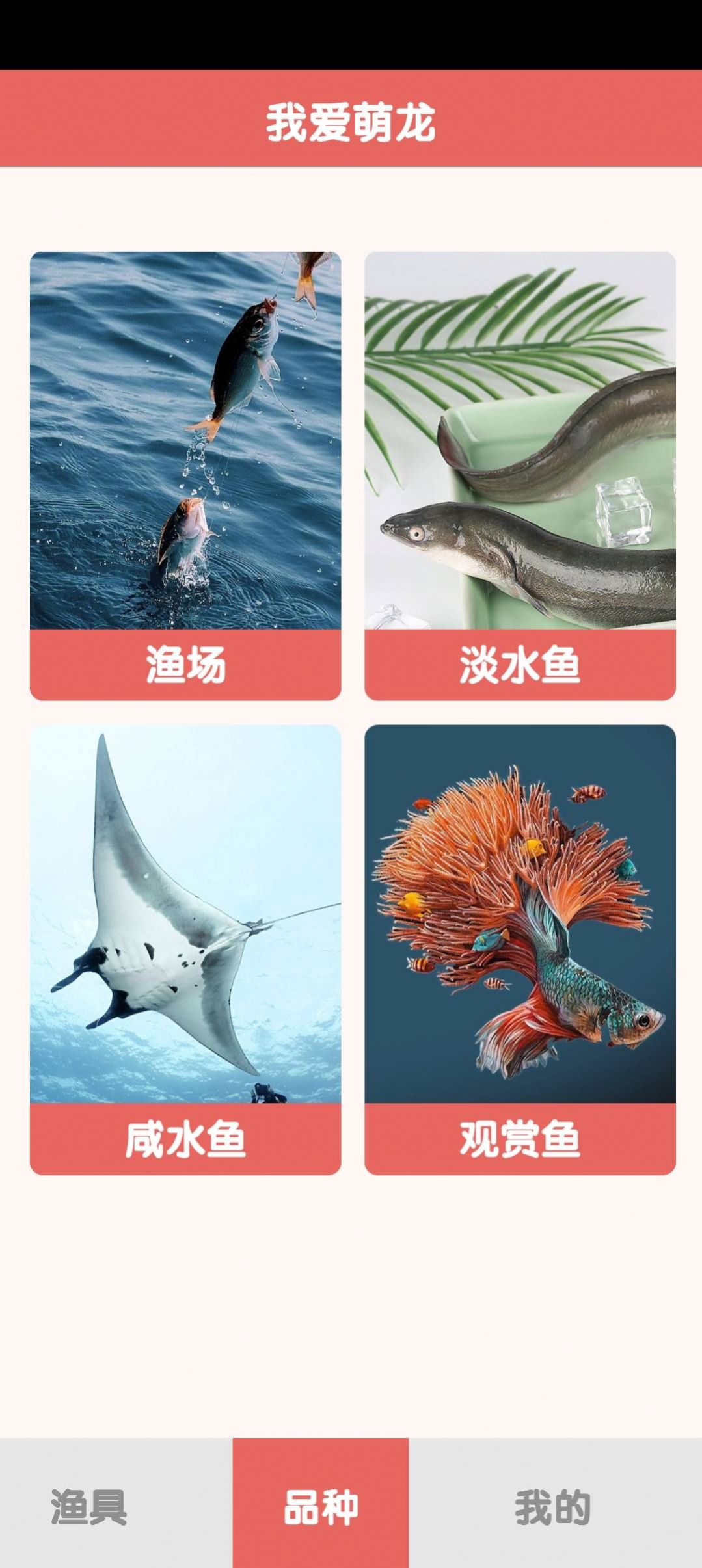 萌龙乐园海洋鱼类百科APP安卓版图片1