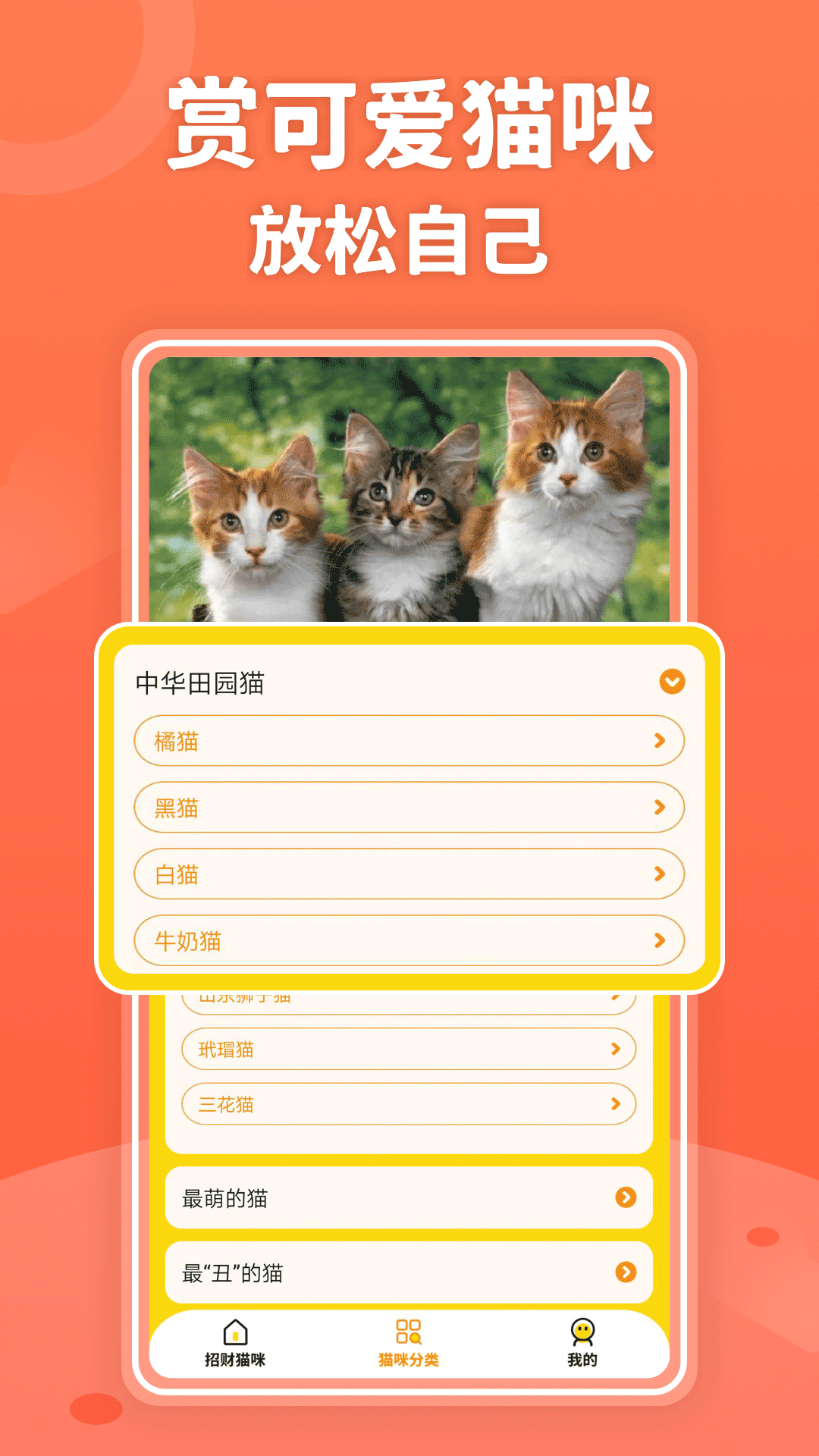 招财进猫学习app官方版图2: