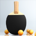 虚拟乒乓球随机球拍高清版下载安装 v1.0