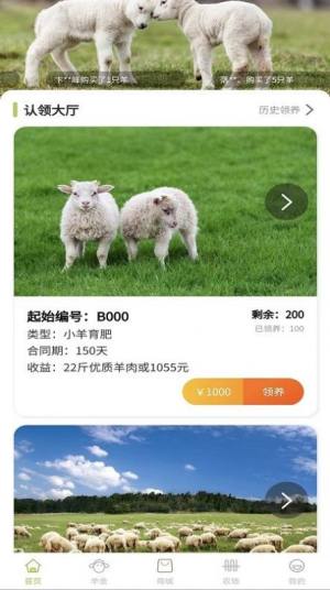 养羊得益平台app官方版（购物分红）图片1