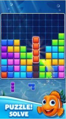 Block Puzzle Ocean游戏图3