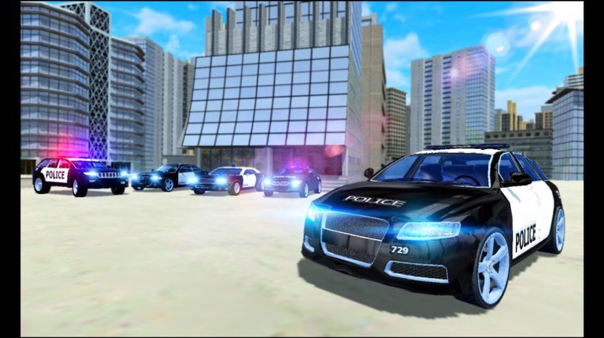 警车模拟刑事追逐游戏安卓版图片1