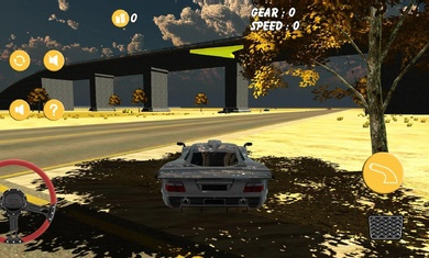 沙漠汽车模拟器游戏官方手机版2