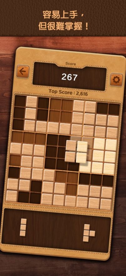 木块数独谜题游戏最新版图2: