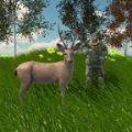 动物狩猎模拟器游戏
