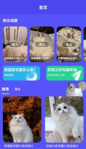 小奶猫呀宠物社区app安卓版图片1