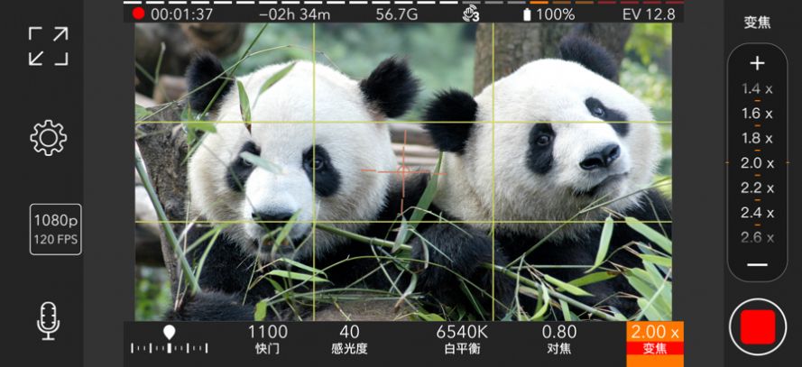 ProMovie专业相机安卓App正版下载图2: