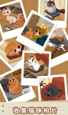 猫咪慵懒的日常游戏图4