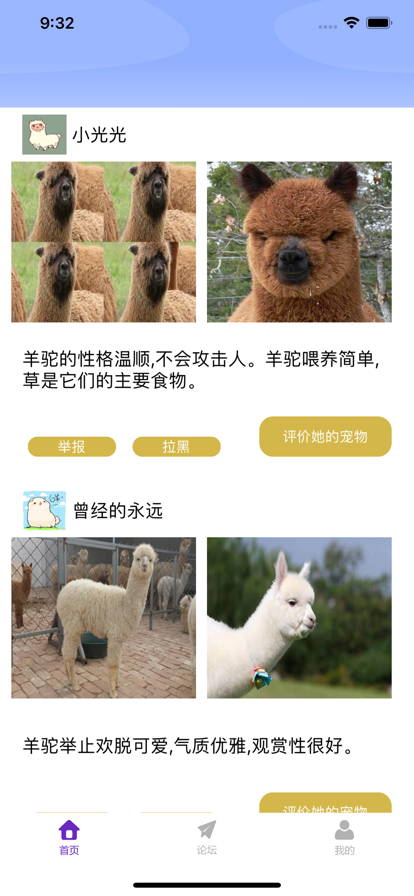 小羊驼宠物交流社区app官方下载图片1
