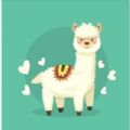 小羊驼宠物交流社区app官方下载 v1.0