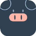 小猪翻译视频app安卓版 v1.0.1