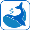 鲸鱼游戏app