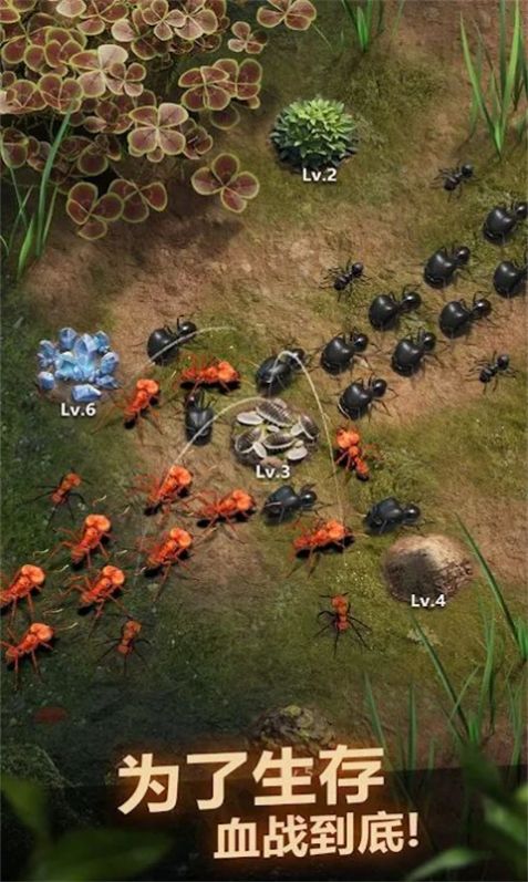 荒野蚂蚁模拟游戏官方手机版截图1: