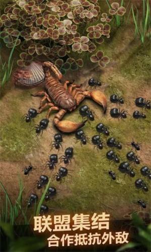 荒野蚂蚁模拟游戏图3