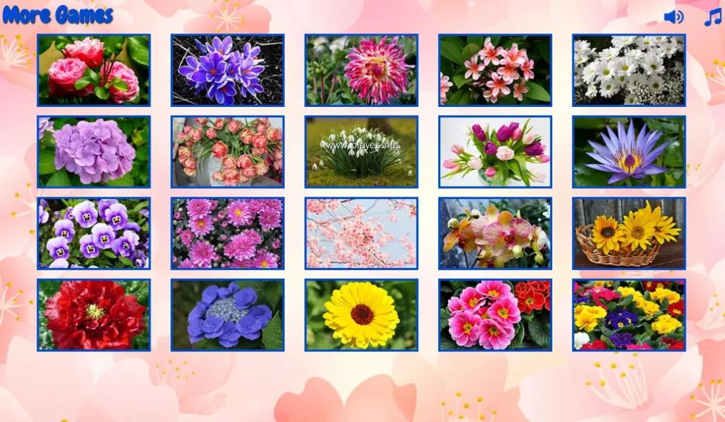 拼图的花朵游戏手机版下载图3:
