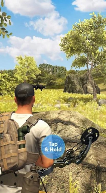 野生射击狩猎游戏中文版（Wild Shooting Hunting Games 3d）截图1: