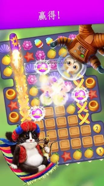 可爱的猫咪珍藏游戏官方最新版图1: