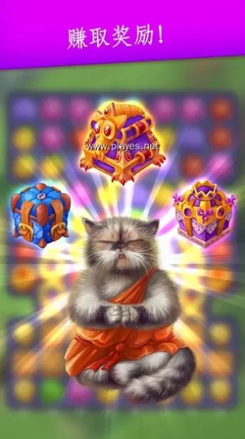 可爱的猫咪珍藏游戏官方最新版图2: