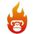 猴子探站app最新官方下载安卓版2022