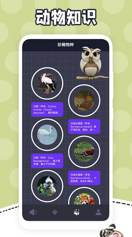 我爱动物百科app安卓版截图3: