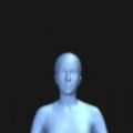 人体可视化仪bodyvisualizer中文汉化版 v1.0