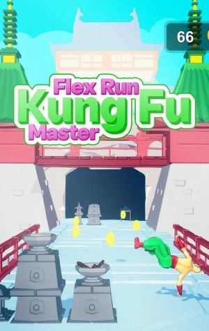 Flex Run The Kung Fu Master游戏图1