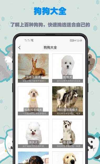 训狗宝典app最新版图3: