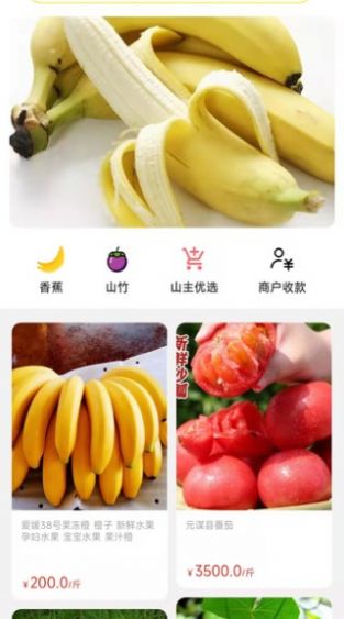 天蕉云果电商app安卓版图1: