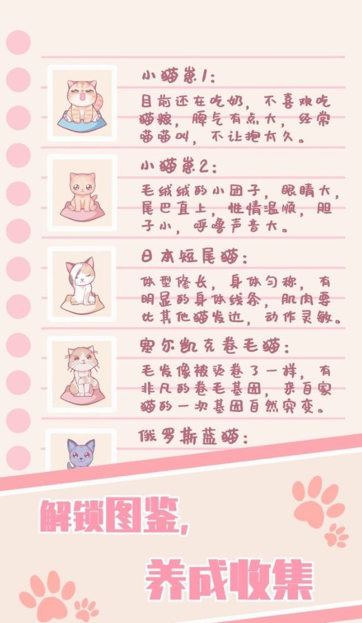 云撸猫咪游戏官方最新版图5: