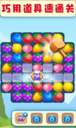 欢乐水果大师游戏图2
