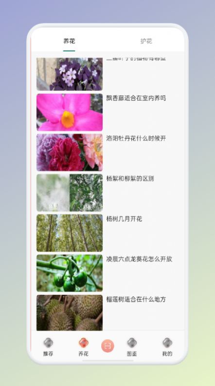 拍照识花识别植物app手机版截图2: