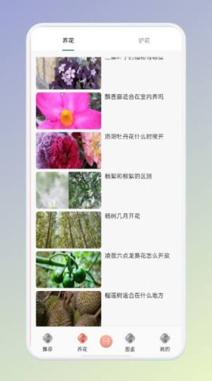 拍照识花识别植物app图3