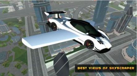 飞车真实驾驶游戏中文版（Flying Car Real Driving）图6: