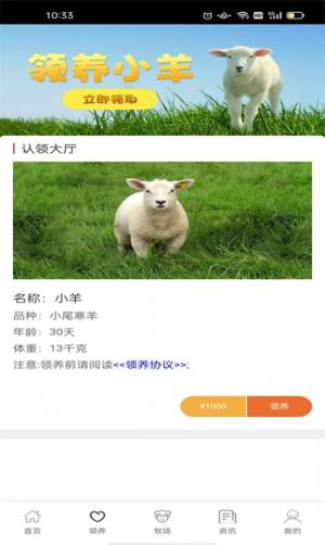 哇塞我的羊App图1
