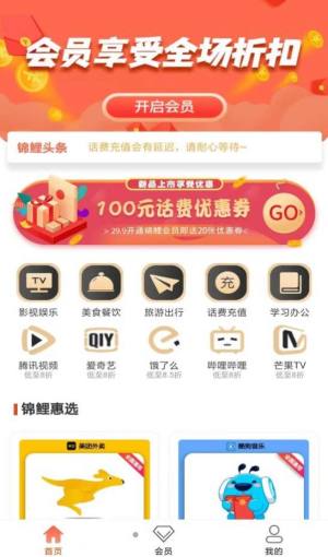 锦鲤汇购物app手机版图片1