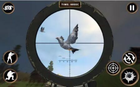 鸽子射击游戏安卓版（Pigeon Shoot）图1: