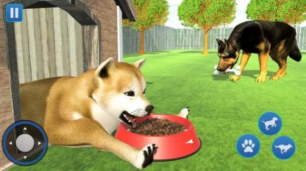 狗生活模拟器3D游戏中文版（Dog Life Simulator 3D Game） 图2: