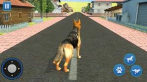 狗生活模拟器3D手机版图1