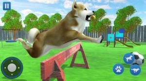 狗生活模拟器3D手机版图3