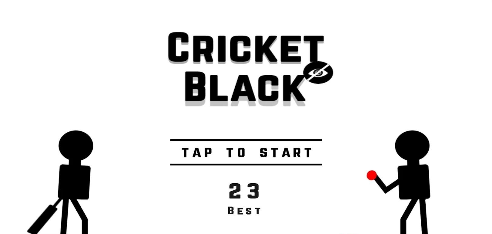 Blind Cricket Black游戏中文版截图4: