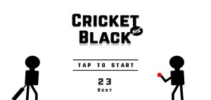 Blind Cricket Black游戏图3